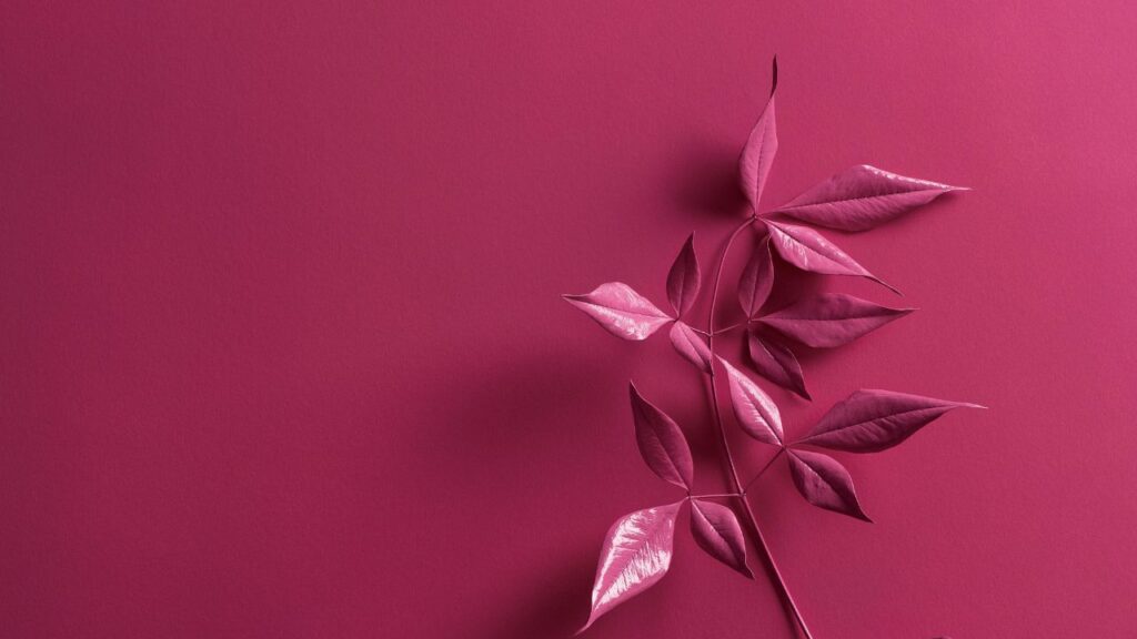 Where Fig Leaves First Came into Fashion in 2025